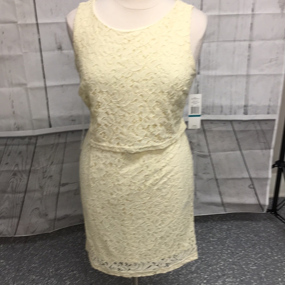 Sharagano dress